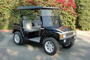affordable golf cart rental, golf cart rent puerto rico